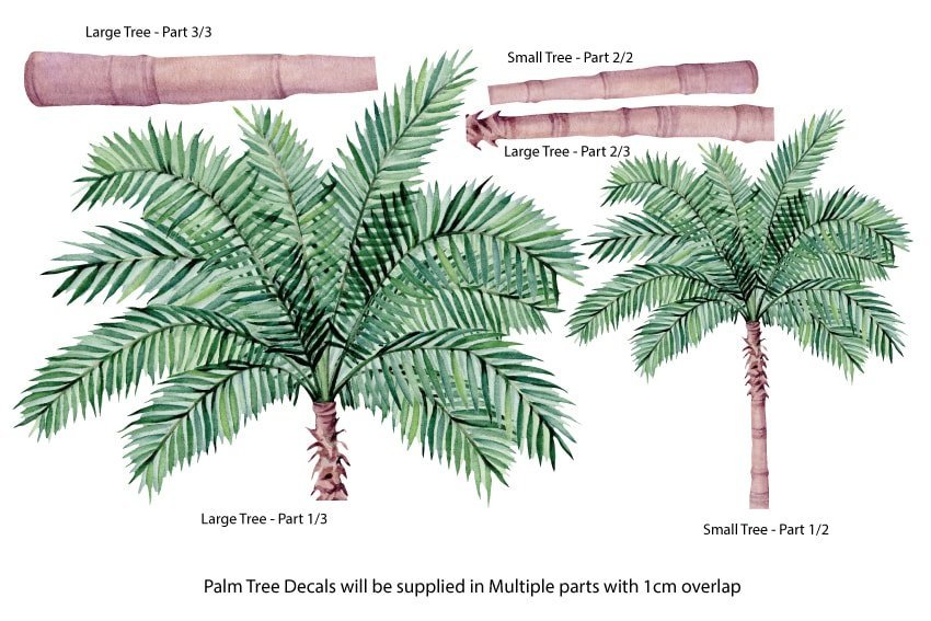 Anatomy Of A Palm Tree